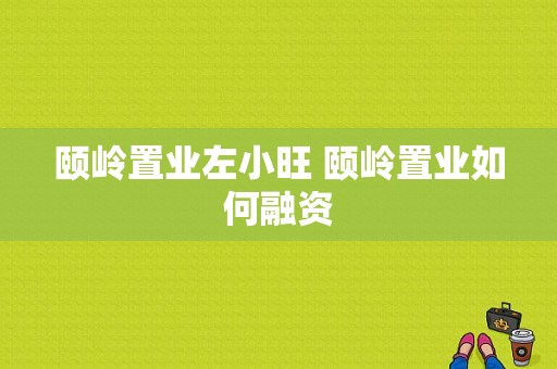 颐岭置业左小旺 颐岭置业如何融资